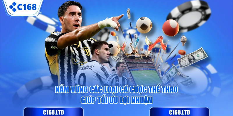 Nắm vững các loại cá cược thể thao giúp tối ưu lợi nhuận