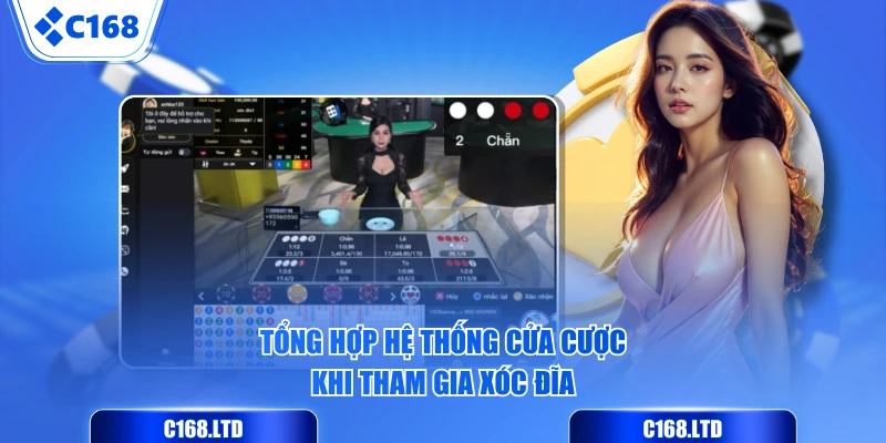 Tổng hợp hệ thống cửa cược khi tham gia Xóc Đĩa